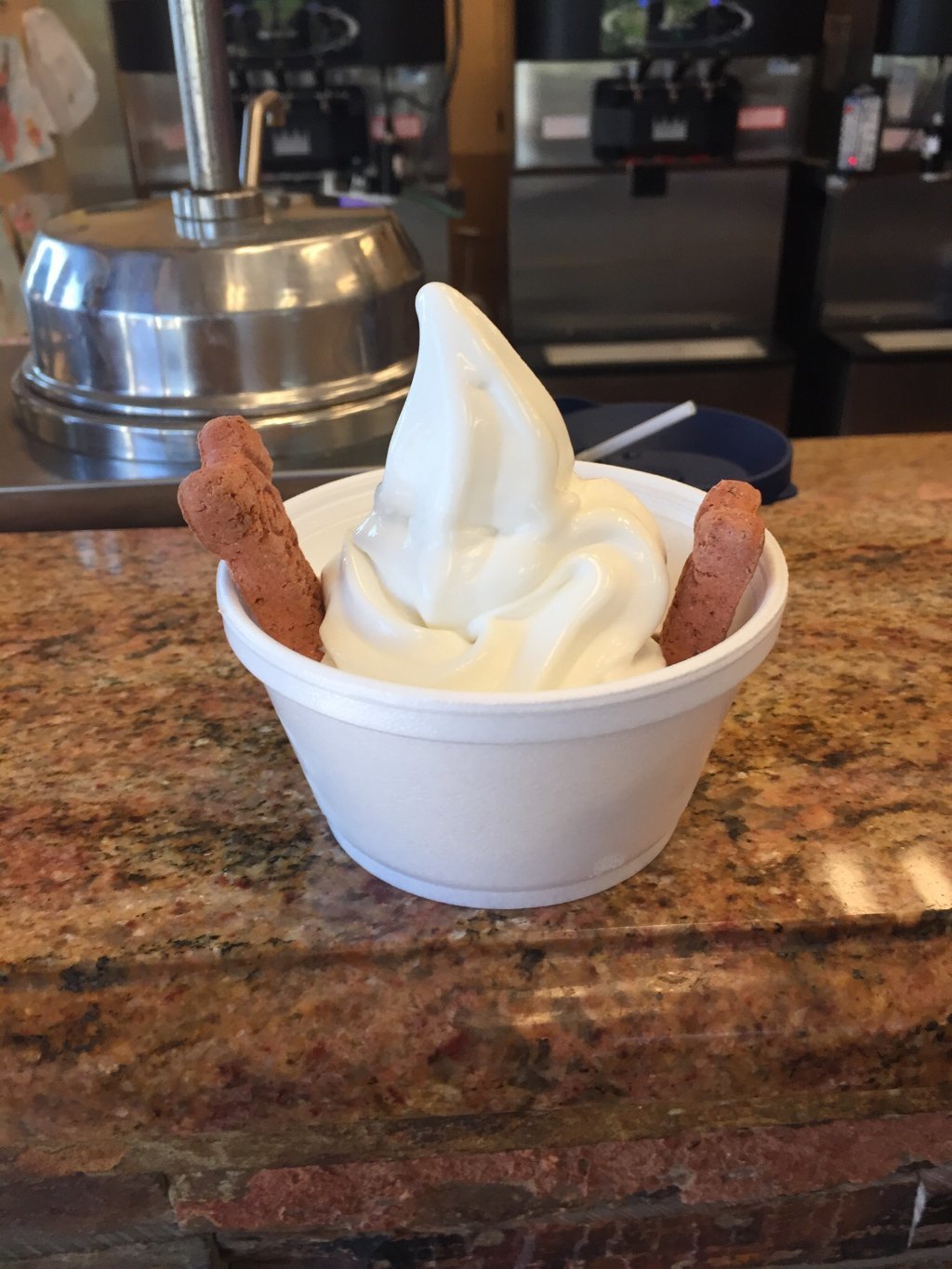 Frostie Moose Soft Ice Cream Store